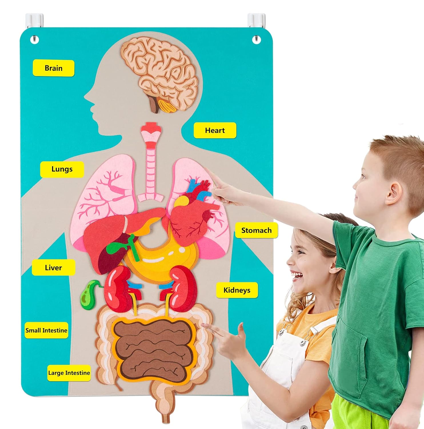 Human Body Puzzle - أجزاء جسم الإنسان قصص لوحية للأطفال