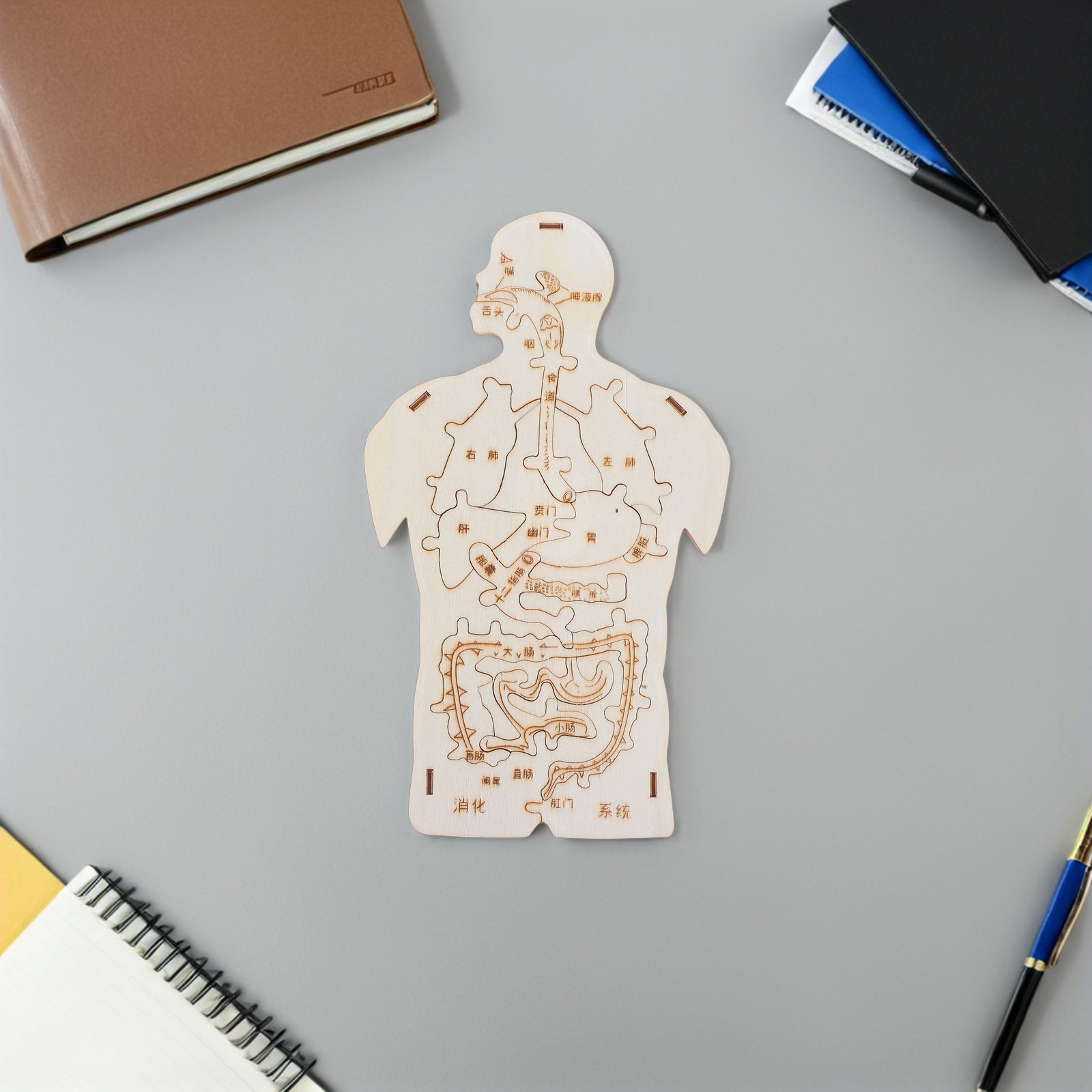 مجموعة ألغاز خشبية تعليمية لجس - مراجعة Human Body Puzzle وسعره