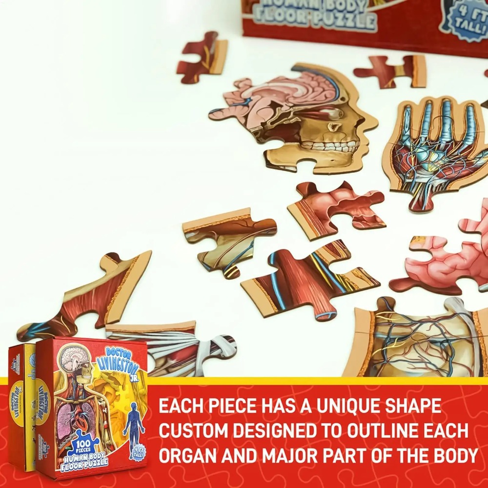 100 قطعة لغز تشريح الإنسان، لع - مراجعة Human Body Puzzle وسعره
