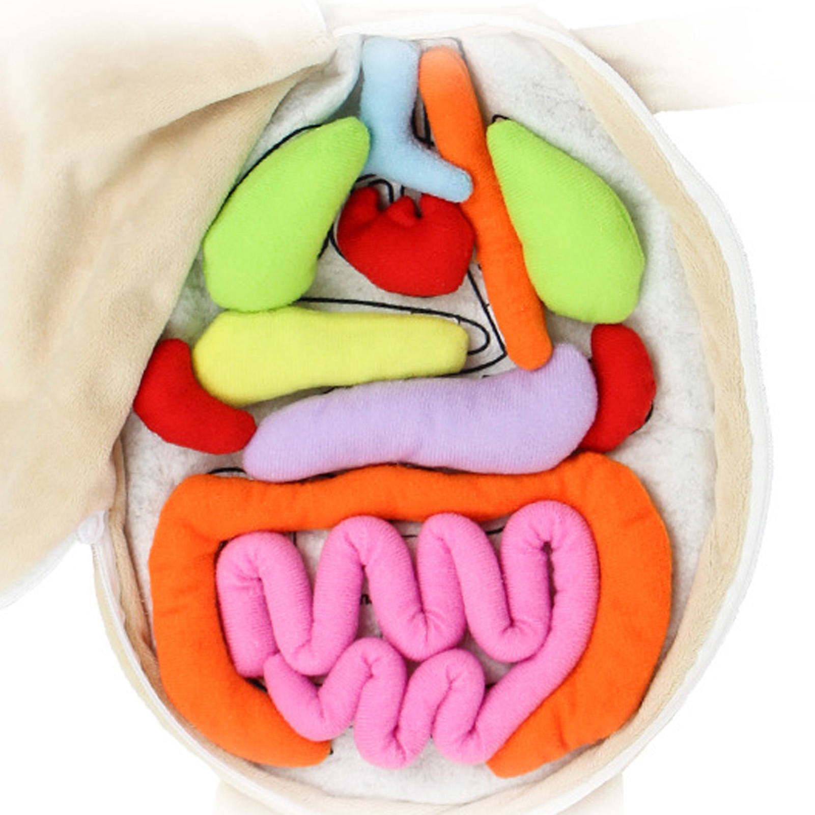 طفل ألعاب مونتيسوري ثلاثية الأ - مراجعة Human Body Puzzle وسعره